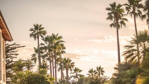 A paved pathway lined with palm trees and a building on the left. - Blau Colònia Sant Jordi (Ses Salines)