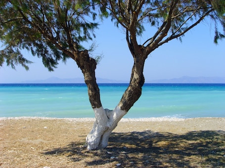 Strand. Esmeralda Hotel