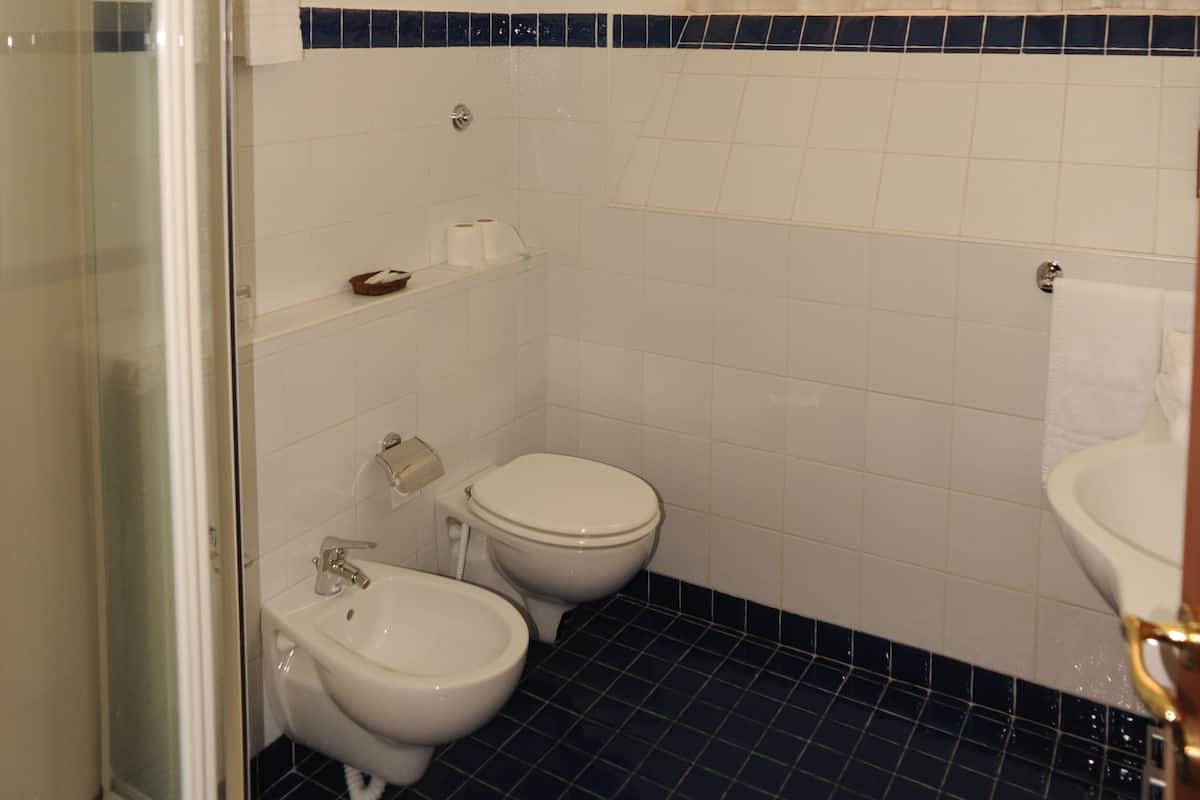 Chuveiro, produtos de toalete grátis, secador de cabelo, bidê