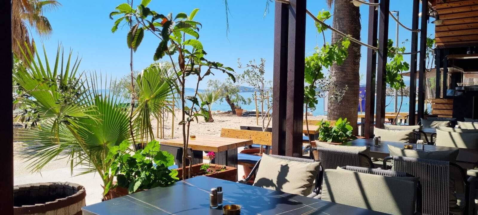 Un espacio al aire libre con mesas y sillas, rodeado de plantas tropicales y vistas a la playa y al mar.