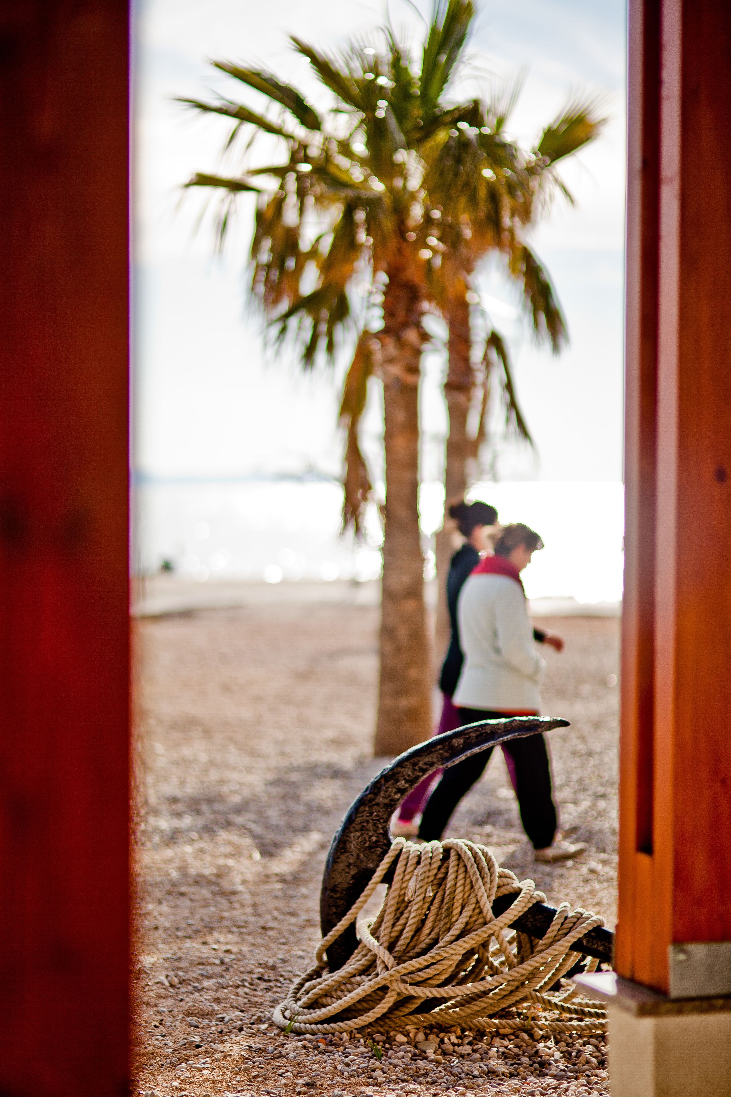 A rope tied to a wooden post on a sandy beach with palm trees in the background.