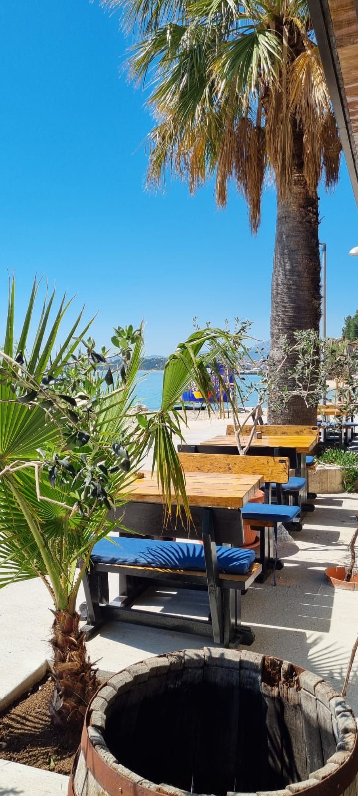 Un área de descanso frente a la playa, con mesas de madera y sillas azules acolchadas, rodeada de palmeras y vistas al mar.