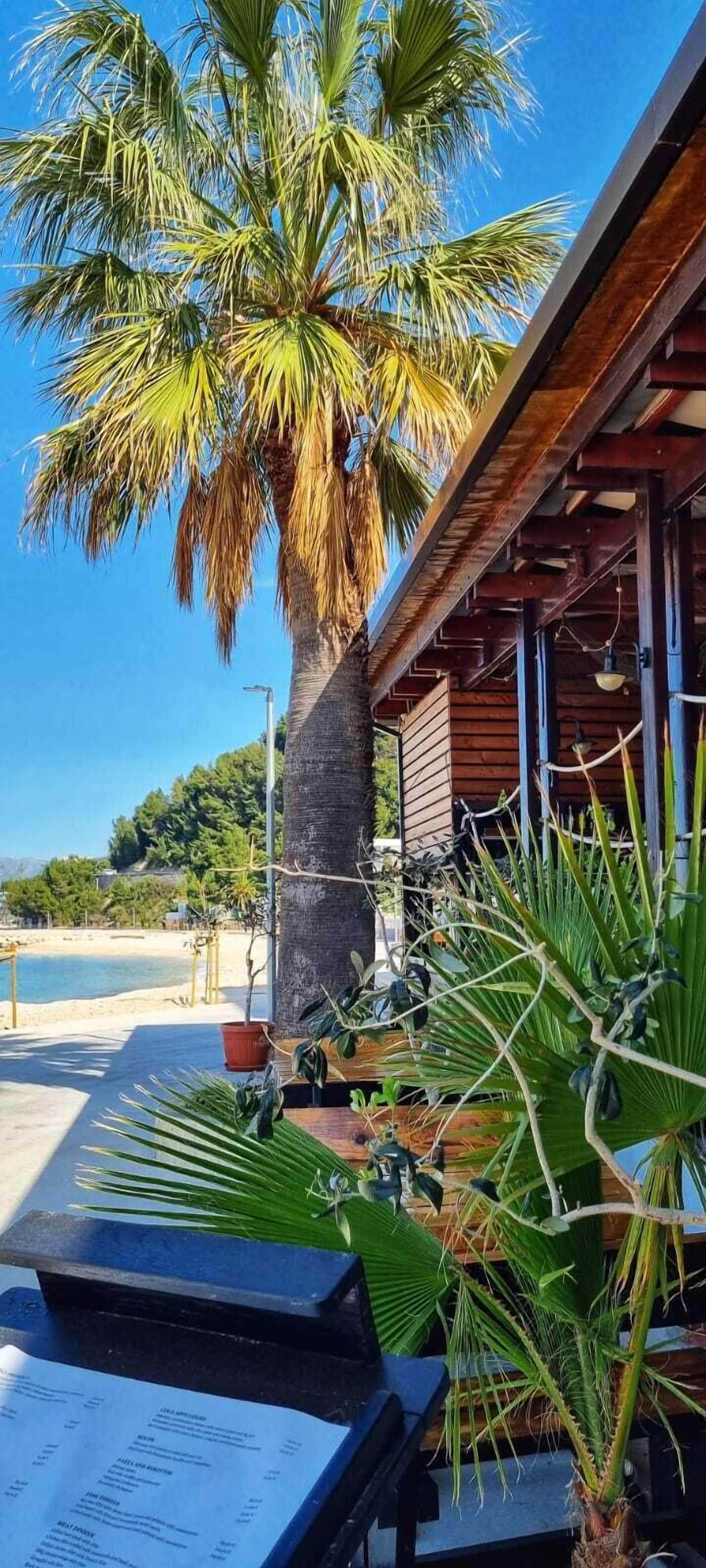 Ένα φοινικόδεντρο, υπαίθριοι χώροι για καθίσματα και ένα ξύλινο κτίριο με θέα στην παραλία.