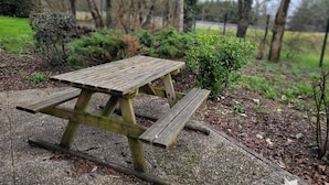 Uma mesa de piquenique de madeira num parque, com árvores e arbustos ao fundo.