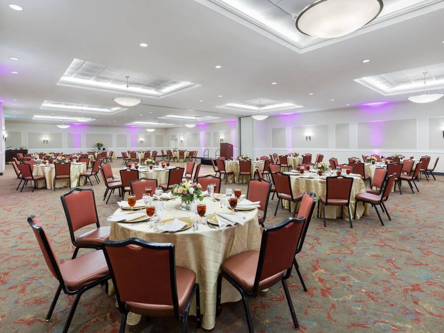 Un amplio salón de banquetes con mesas redondas, sillas y piso alfombrado.