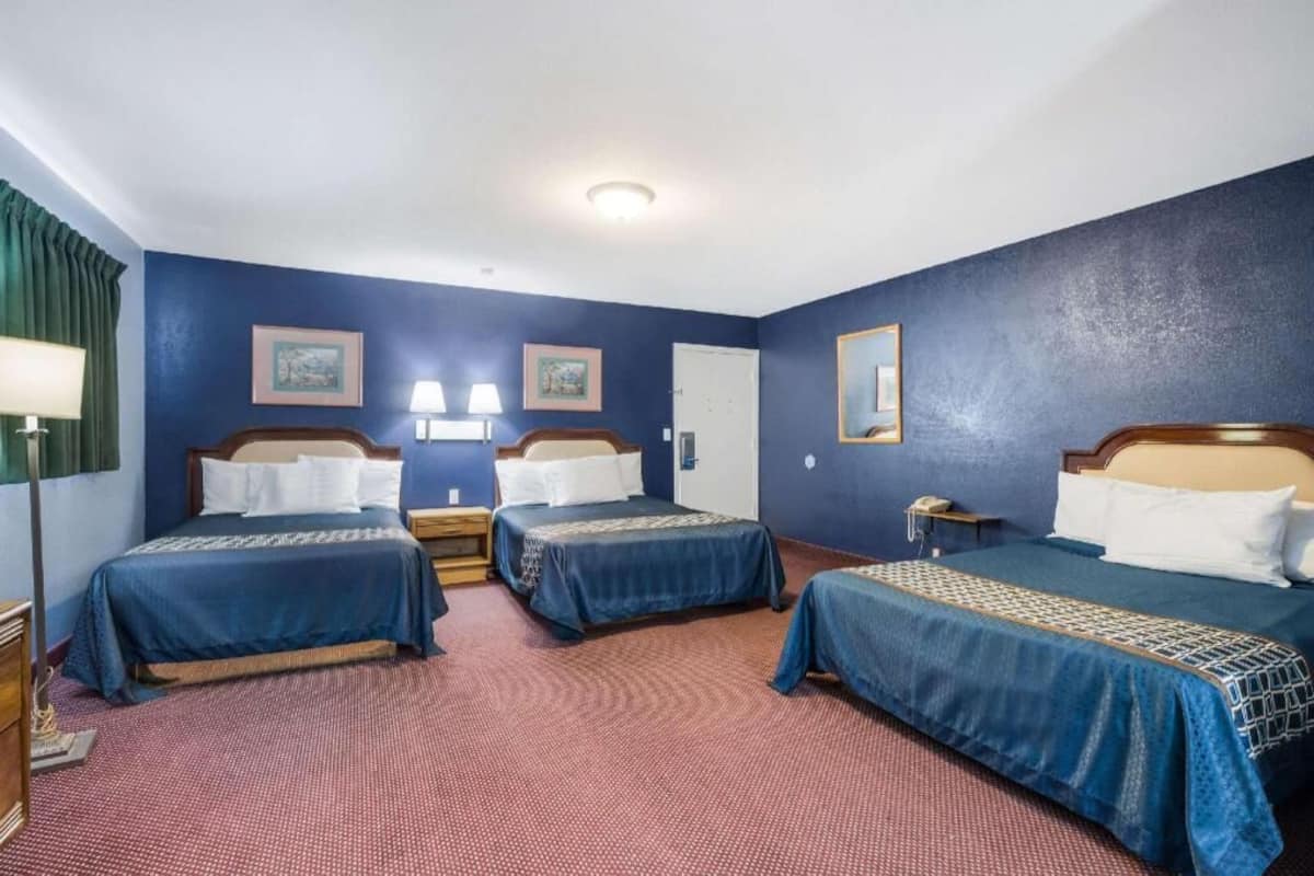 Down comforters, individually decorated, individually furnished, desk