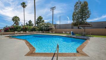 Piscina all'aperto, con ingresso dalle 18:00 alle 21:00, lettini