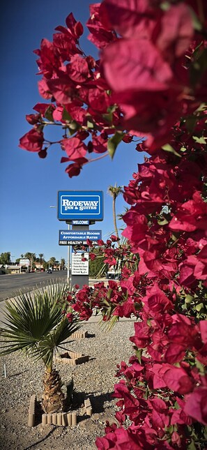 Building design - Rodeway Inn & Suites Blythe I-10 (Blythe)