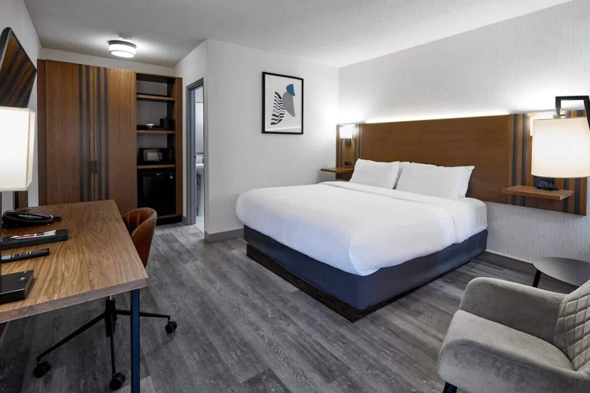 A hotel room with a bed, desk, chair, bedside table, lamp, and a wall-mounted TV.
