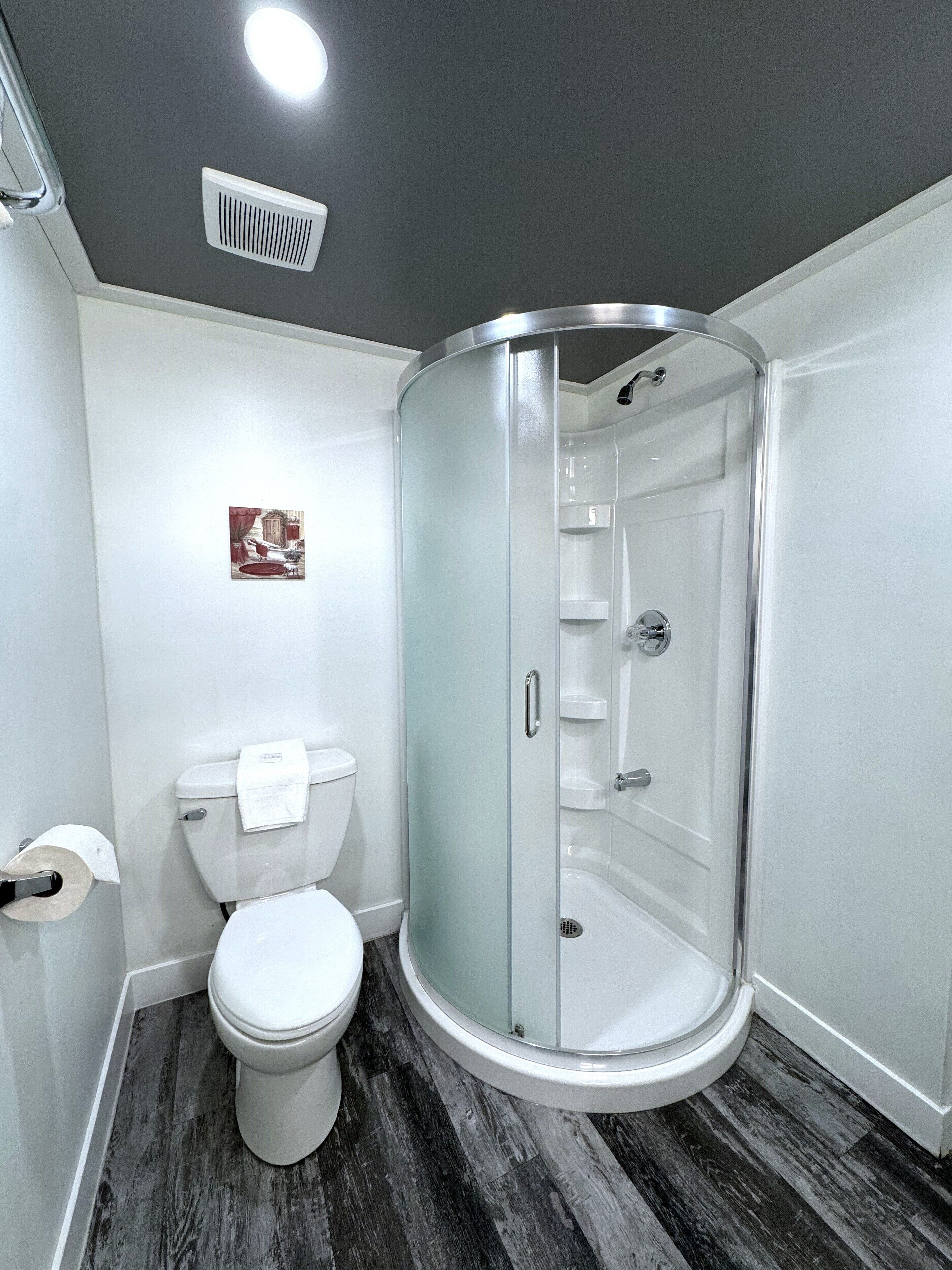 A modern bathroom with a glass-enclosed shower, a toilet, and a small framed picture on the wall.