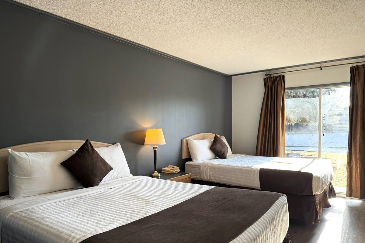 Pet-Friendly: 1 Queen Bed | 1 多间卧室、办公桌、遮光窗帘、熨斗/熨衣板