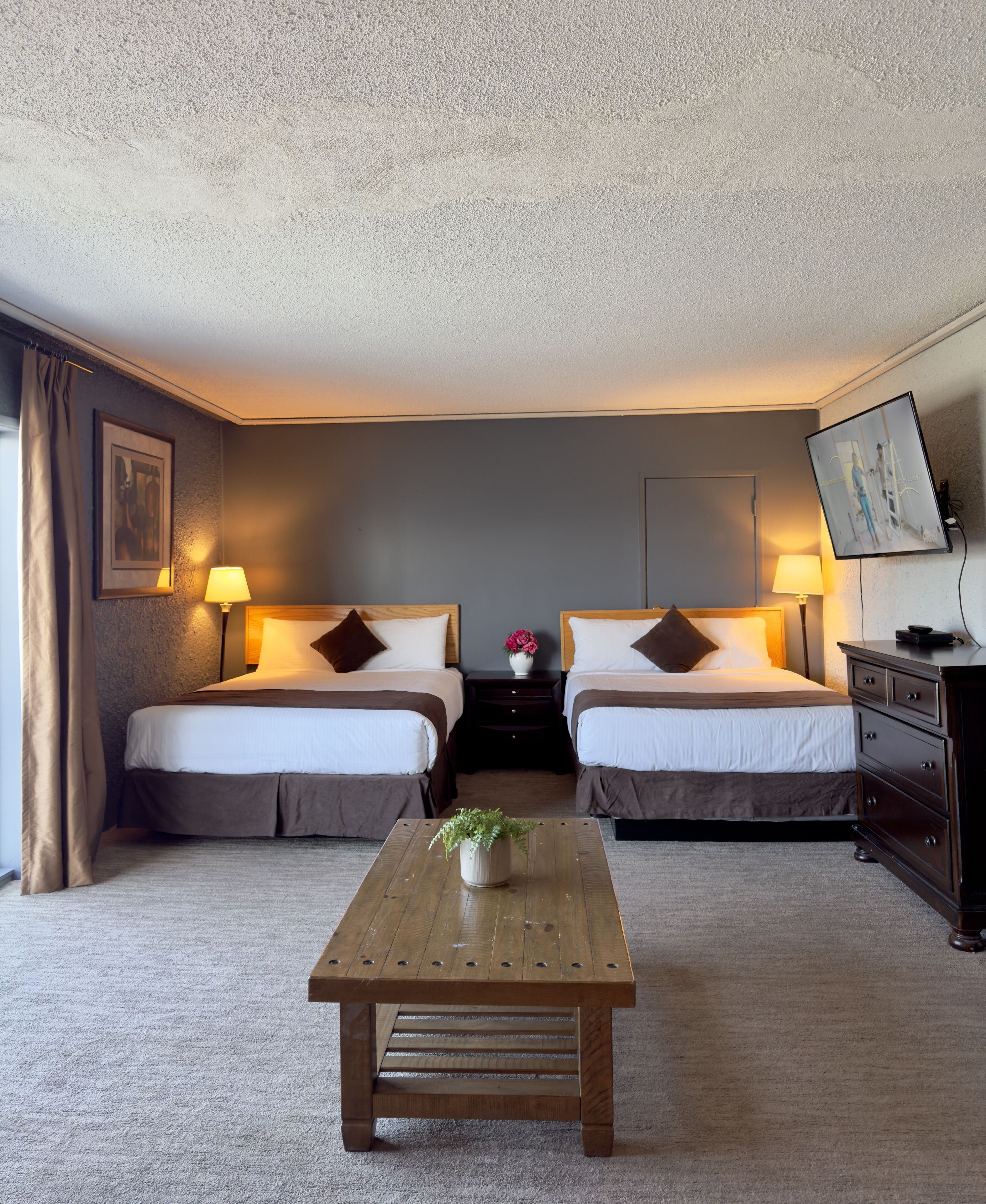 A hotel room with two beds, a wooden coffee table with a plant, a dresser, and a TV on the wall.