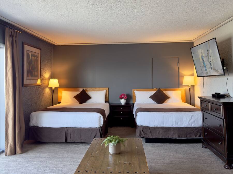 A hotel room with two beds, a wooden coffee table with a plant, a dresser, and a TV on the wall.