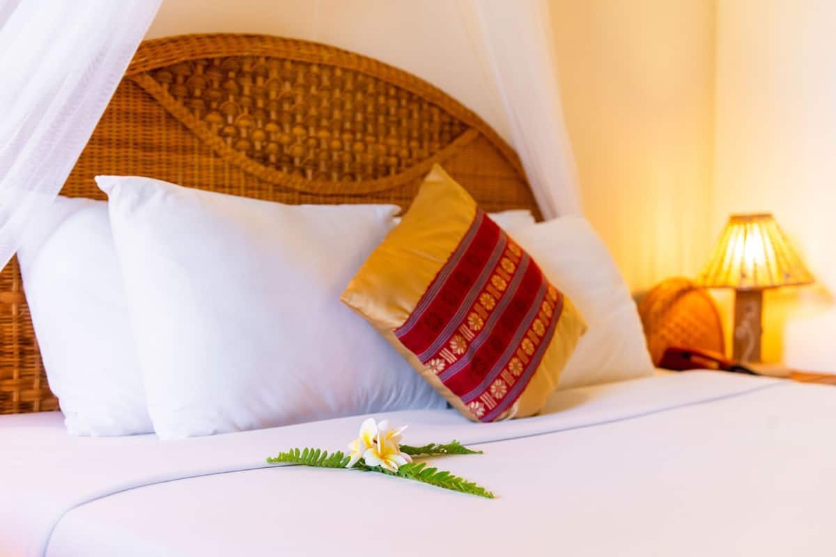 A bed with white pillows, a decorative pillow with red and gold patterns, a white canopy, a bedside lamp, and a small plant on the bed.