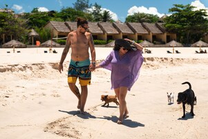 Escena de playa con un hombre, una mujer caminando, un perro y otro perro negro.