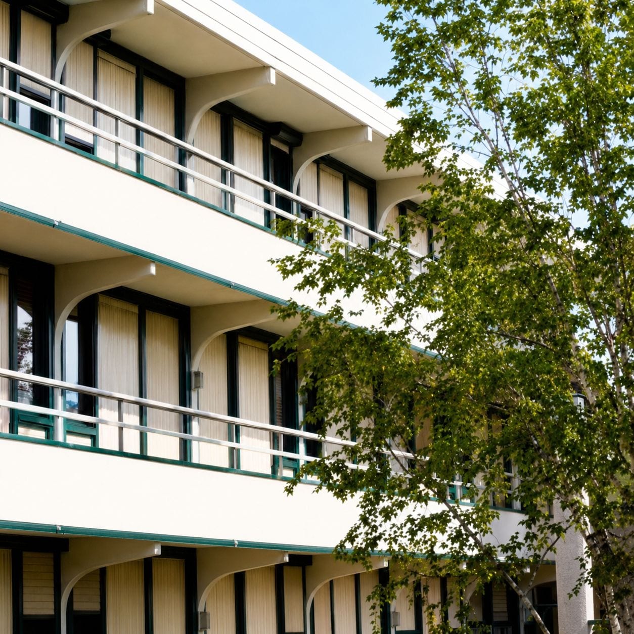 A multi-story hotel with balconies and a tree in the foreground.