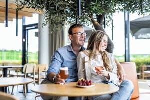 50-英寸纯平电视（配备数码频道）、电视、Netflix