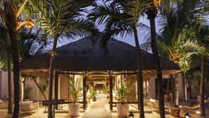 A thatched-roof structure with a pathway leading to a seating area, surrounded by palm trees and potted plants.