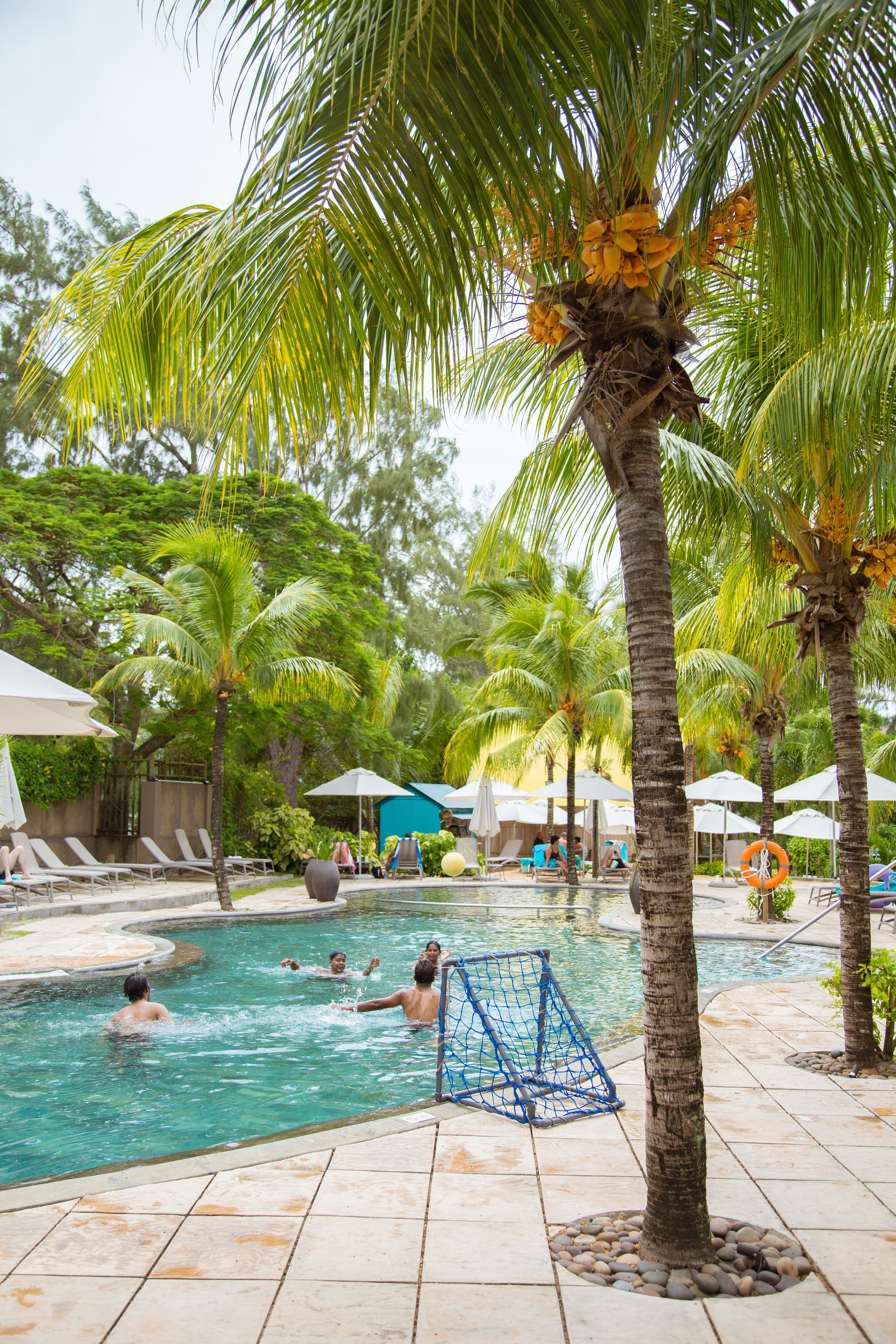 2 outdoor pools, pool loungers