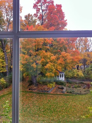 Suite, 1 Queen Bed, Private Bathroom (Garden View Suite) | View from room