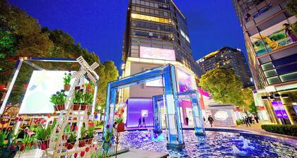 Four Points by Sheraton Shanghai, Daning