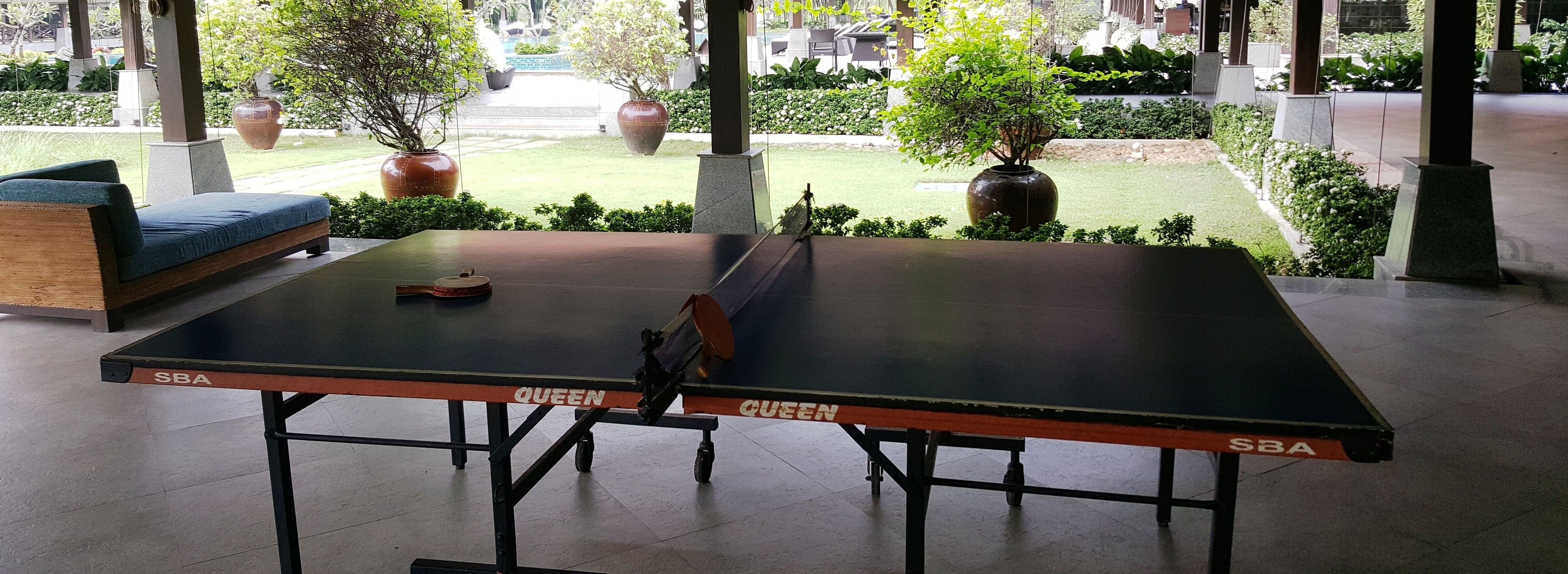 A ping pong table with "SBA" and "QUEEN" branding, located indoors with a view of a well-maintained garden and outdoor seating area.