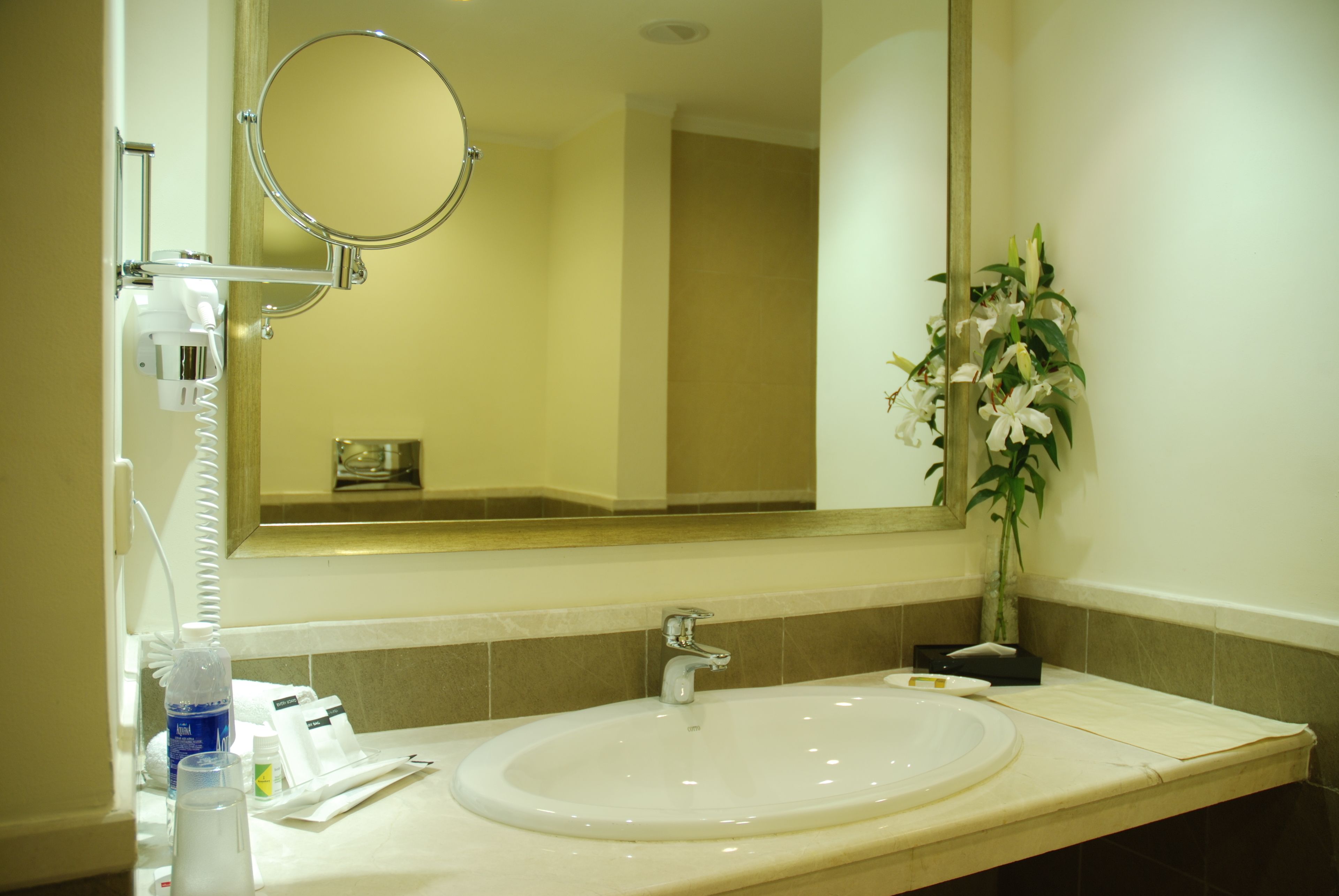 Een hotelbadkamer met een wastafel, spiegel en toiletartikelen.
