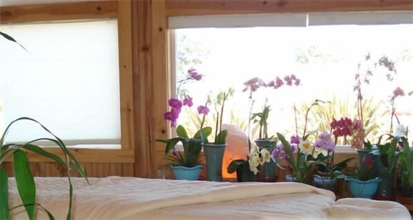 Individually decorated, desk, free WiFi, alarm clocks