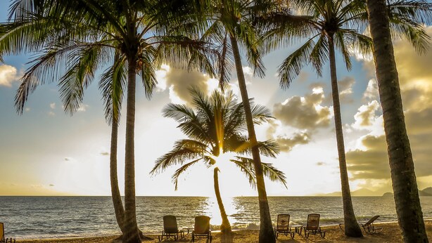 A beach with palm trees, chairs, and a view of the ocean at sunset. - Marlin Waters (Palm Cove)