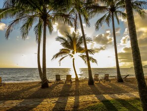 On the beach, free beach cabanas, sun loungers, beach umbrellas