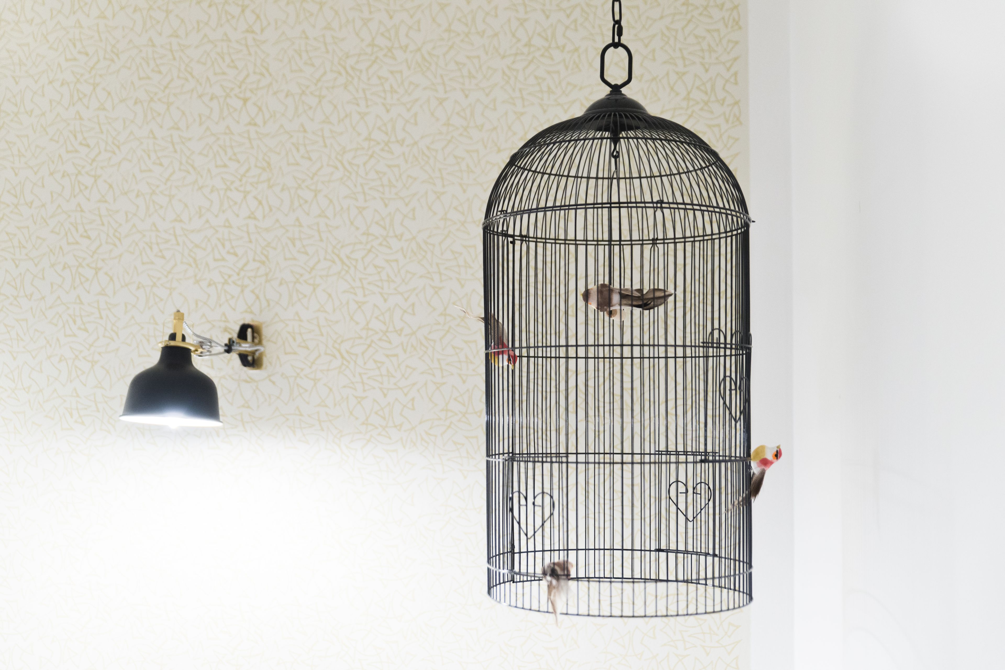 A birdcage with a hanging light fixture and a patterned wall in the background.