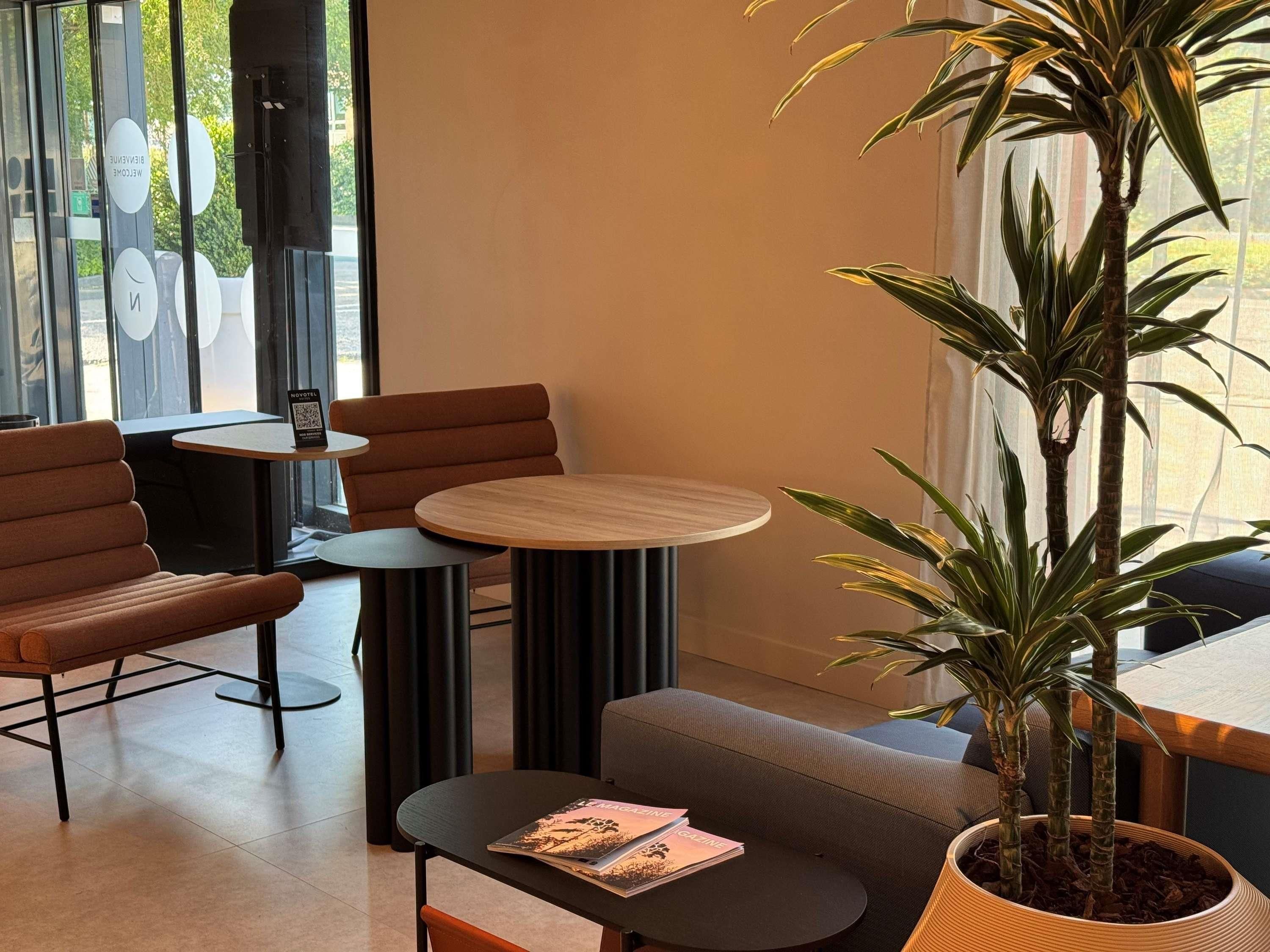 Un intérieur moderne avec un canapé, deux tables rondes et une plante en pot.