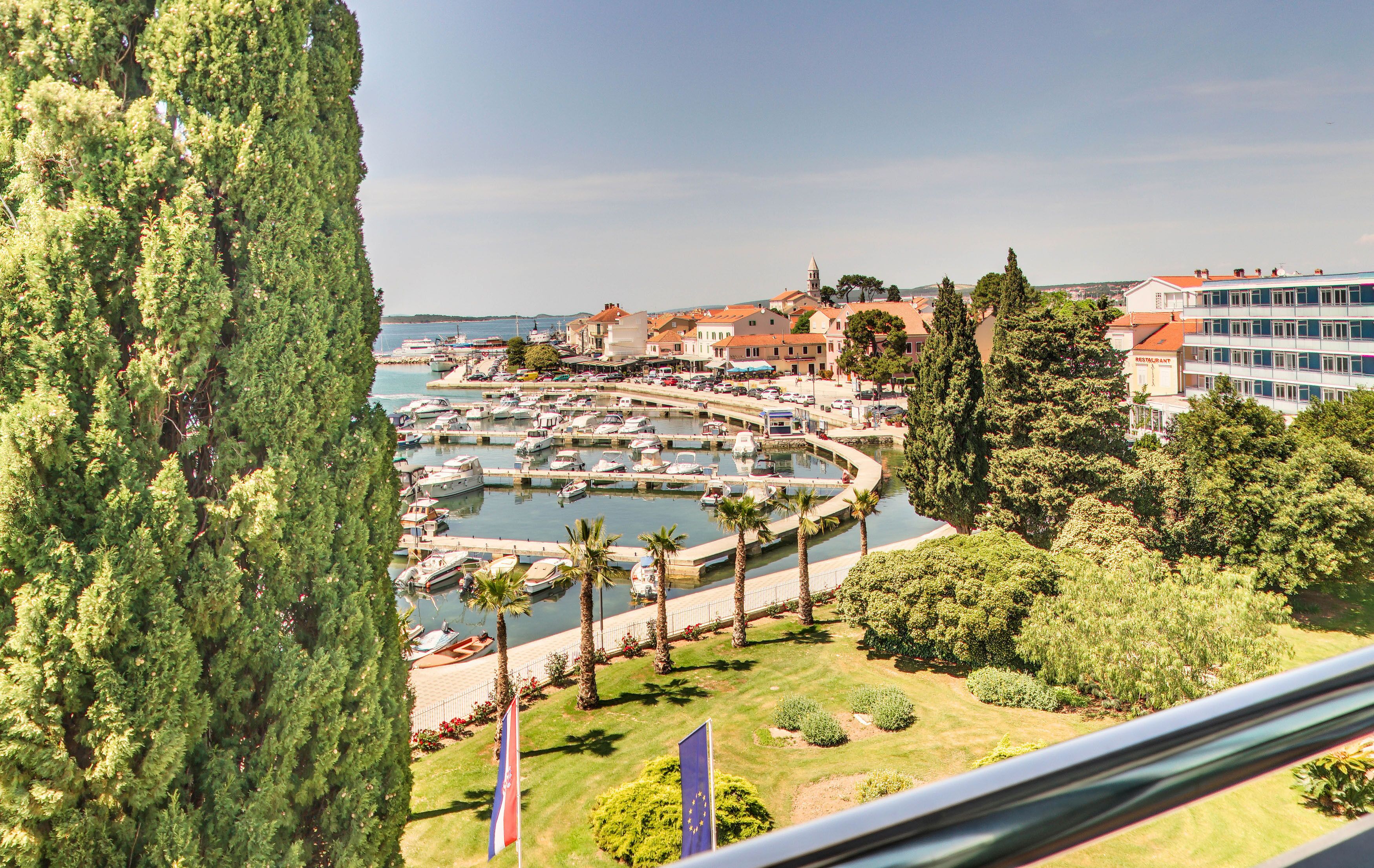 A marina with boats, a large tree, and buildings in the background.