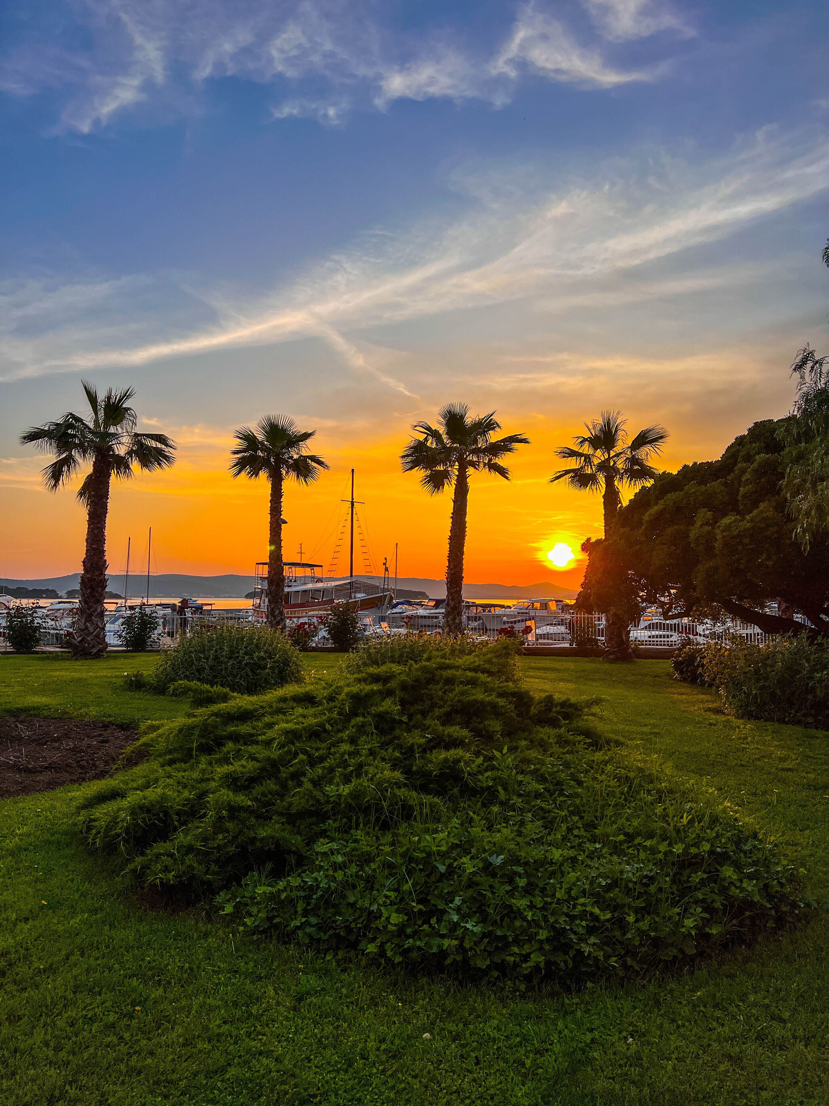 A marina with boats docked, palm trees, and a sunset in the background.