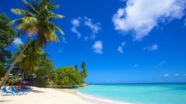 A beach with white sand, clear turquoise water, and palm trees. There are lounge chairs and umbrellas along the shore. - Sunbay Hotel (Maxwell)