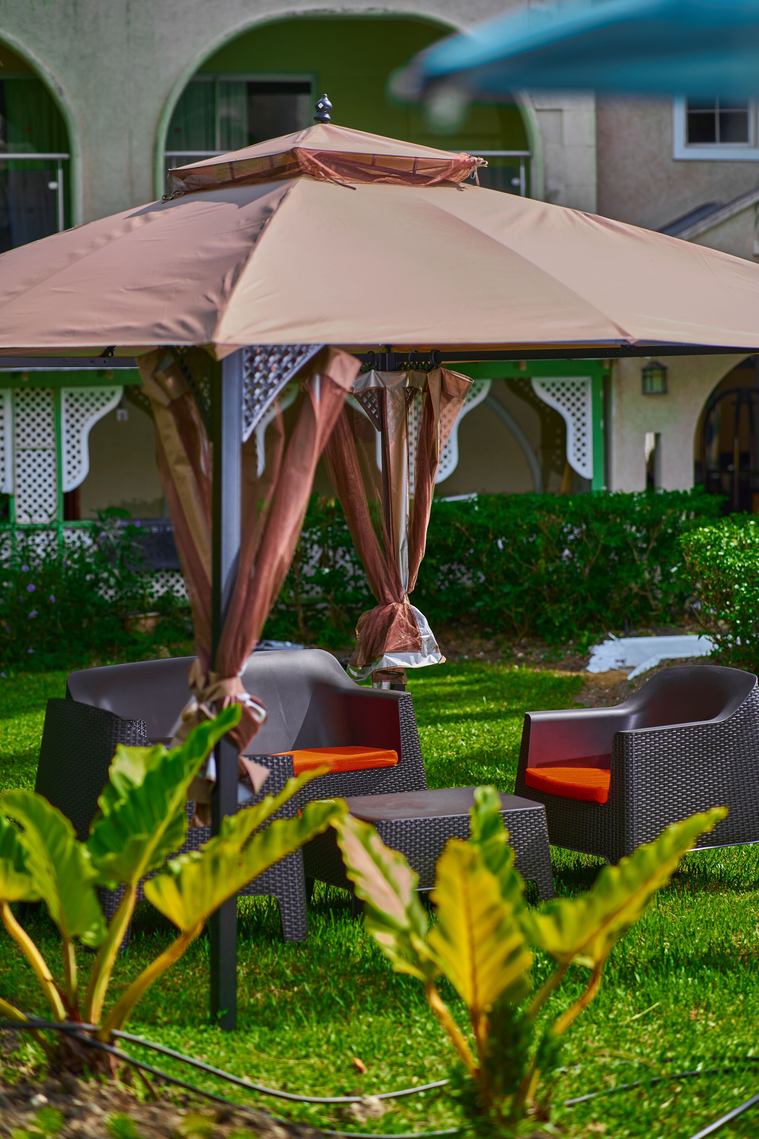 An outdoor seating area with a table and chairs under a canopy, surrounded by greenery.