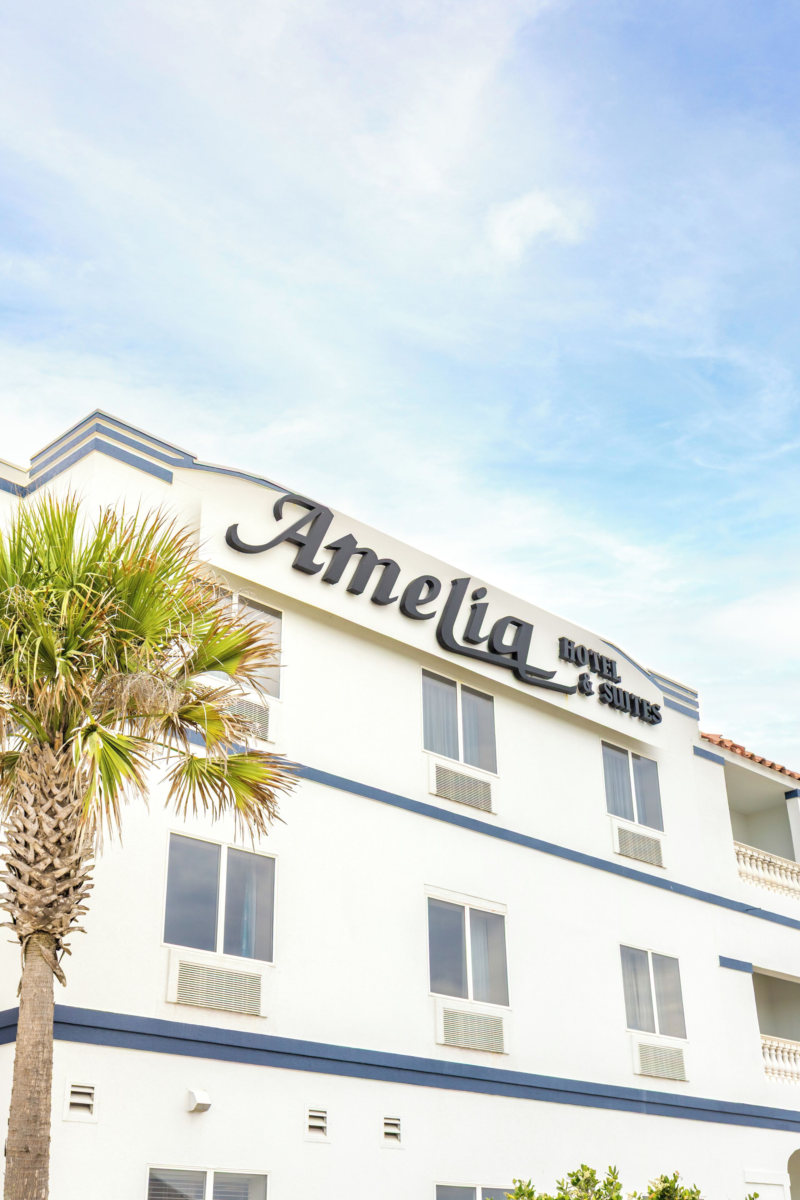 A hotel named 'Amelia Hotel & Suites' with a white facade, multiple windows, and a palm tree in the foreground.