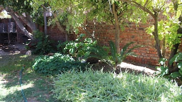 Vista al jardín