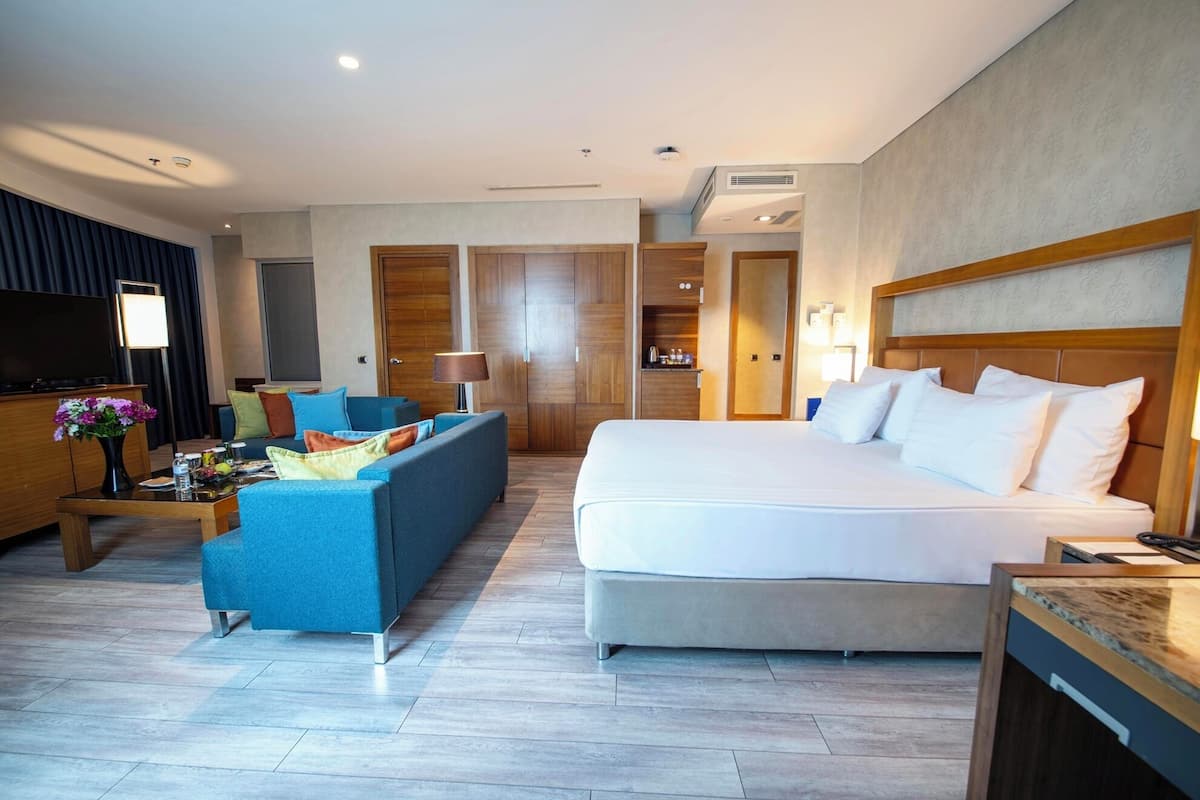 A hotel room with a bed, a sofa, a TV, a desk, and a wardrobe.