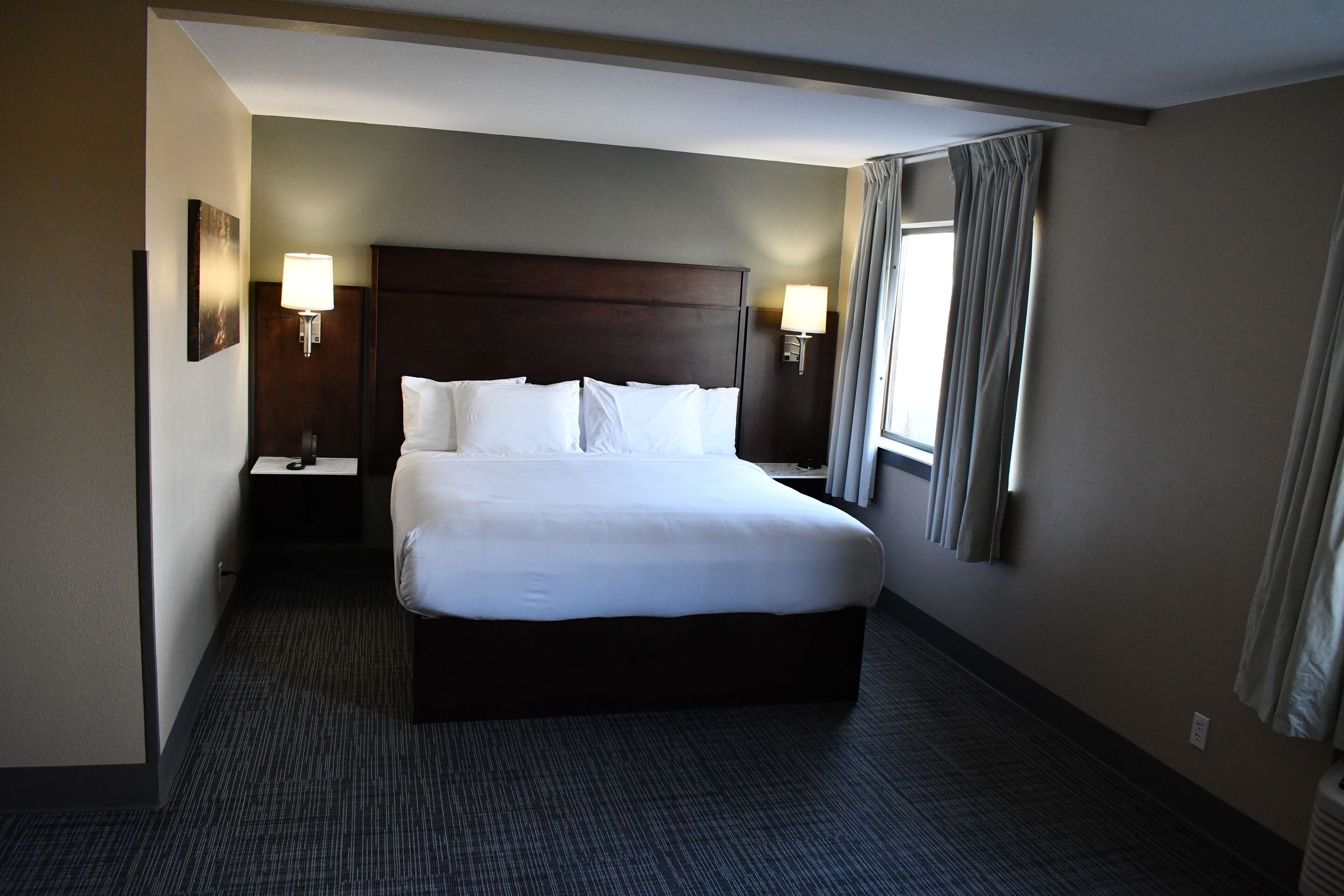 Suite Studio, 1 très grand lit et 1 canapé-lit, non-fumeur