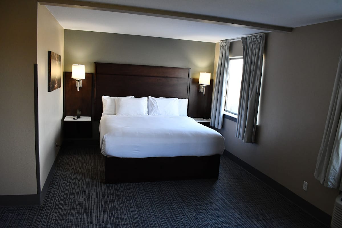 Suite Studio, 1 trÚs grand lit et 1 canapé-lit, non-fumeur