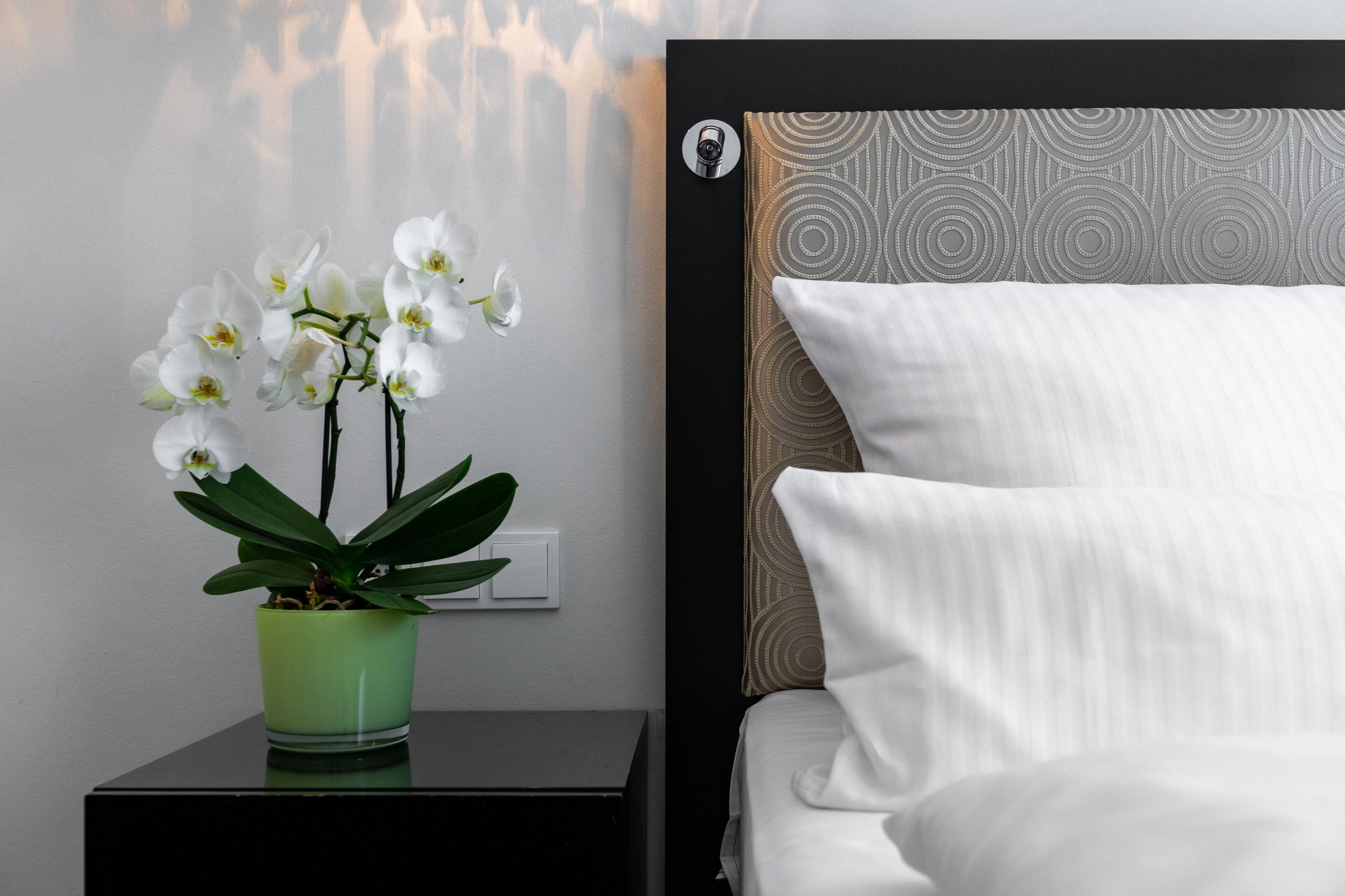 Photo - Hotel an der Oper