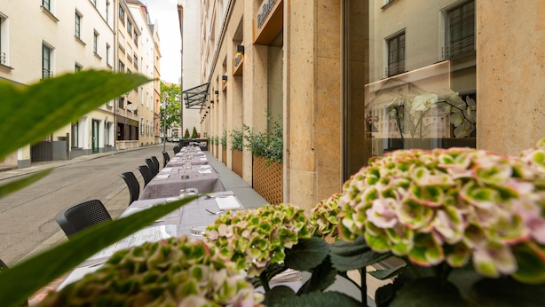 Un pasillo de hotel con mesas dispuestas para comer, plantas en macetas y vistas a la calle.