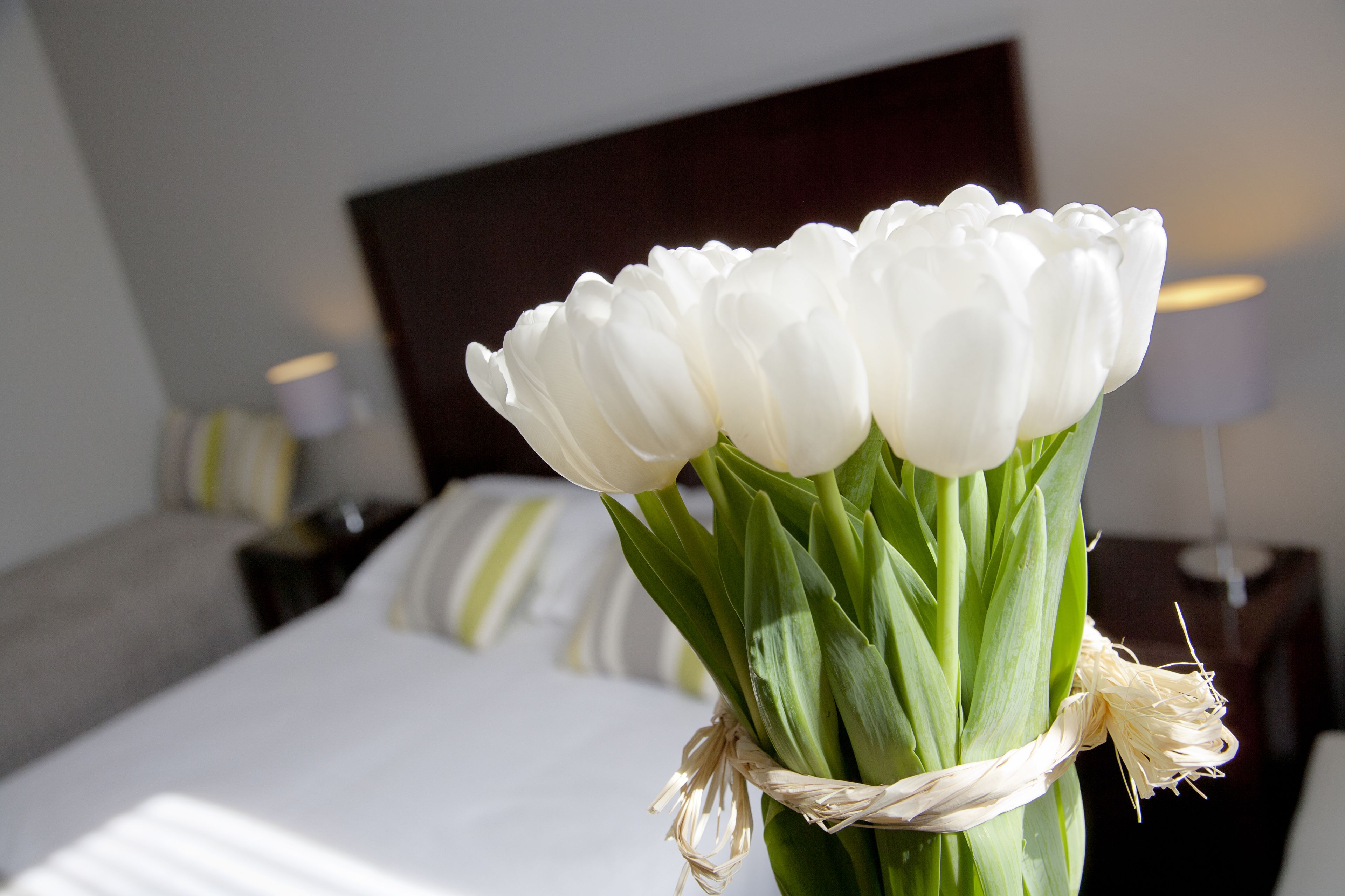 Photo - Relais Acropolis
