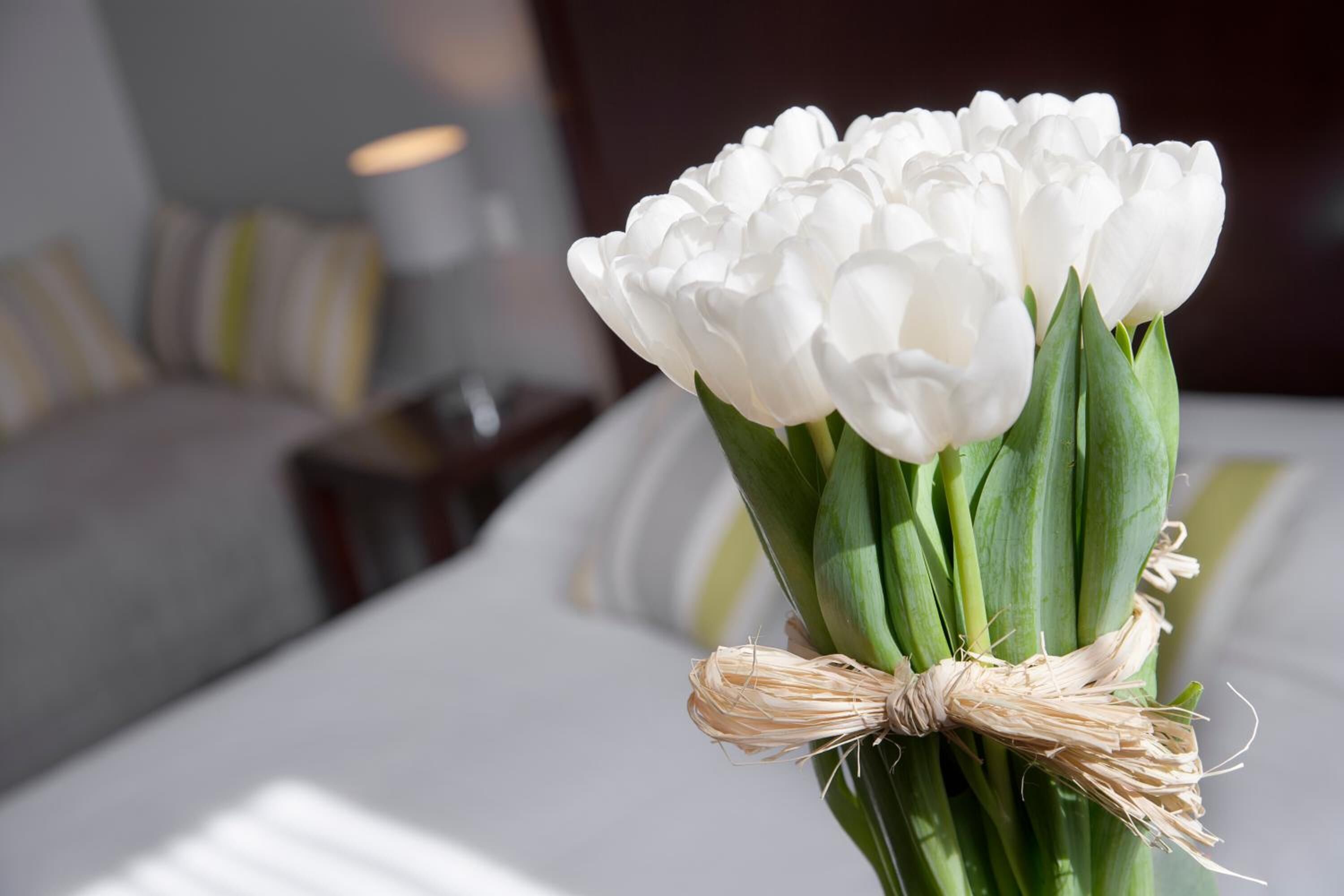 Photo - Hôtel Relais Acropolis