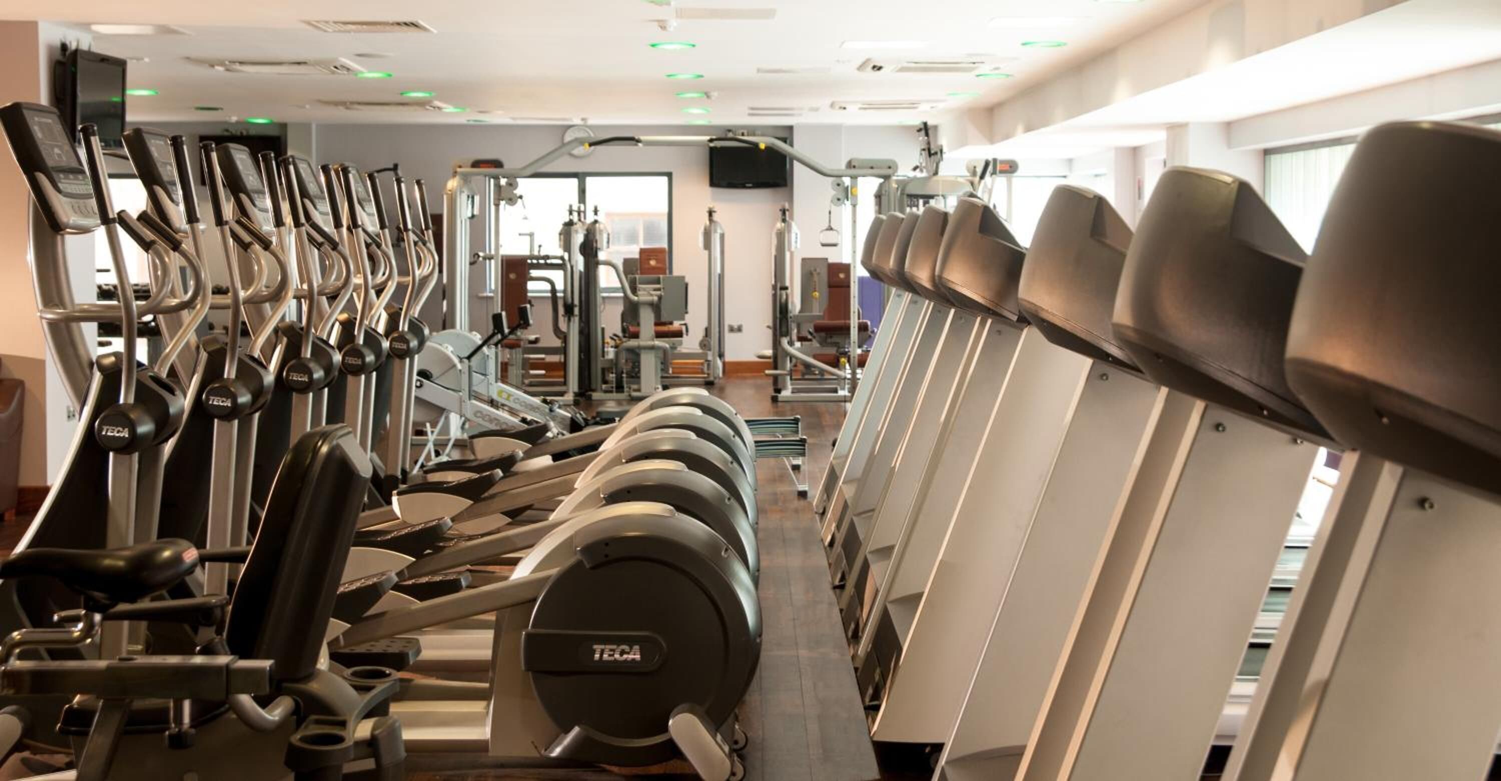 Une salle de sport équipée de nombreux appareils de cardio, notamment des tapis de course et des elliptiques, disposés en rangées.