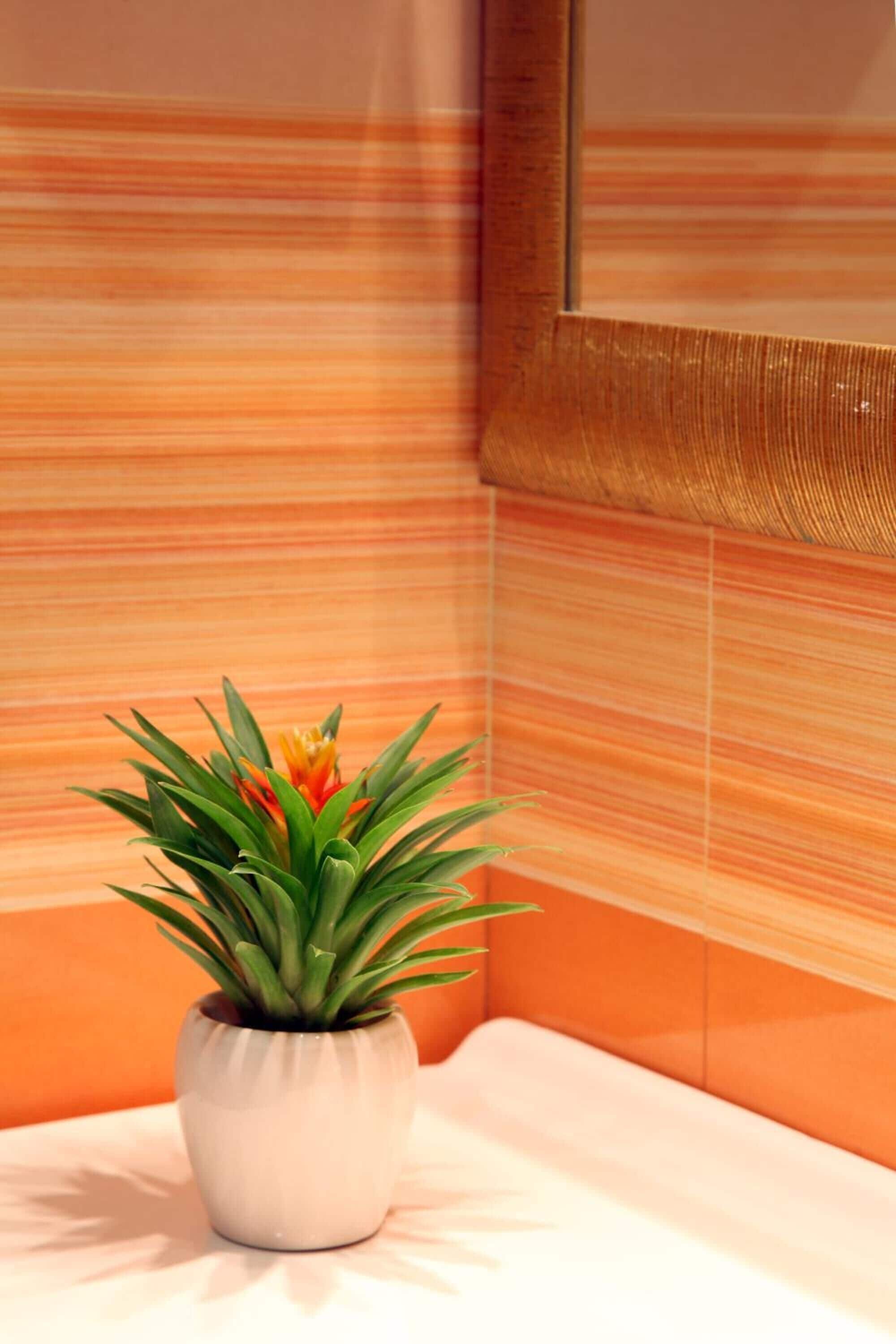 Photo - Hotel Serena srl