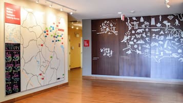 Vista desde la propiedad