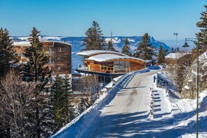 Un camino cubierto de nieve que lleva a una construcción de madera con ventanas grandes y techo curvo, rodeada de árboles y montañas al fondo.