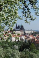 Paesaggio urbano con edifici storici, tra cui una chiesa con due campanili svettanti, circondato da vegetazione lussureggiante e alberi in fiore.